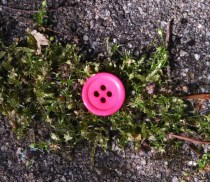 pink button